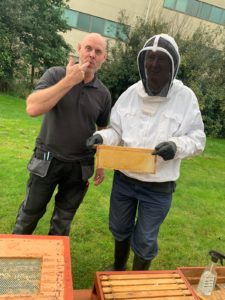 Beehives at Mercure Sheffield Parkway Hotel